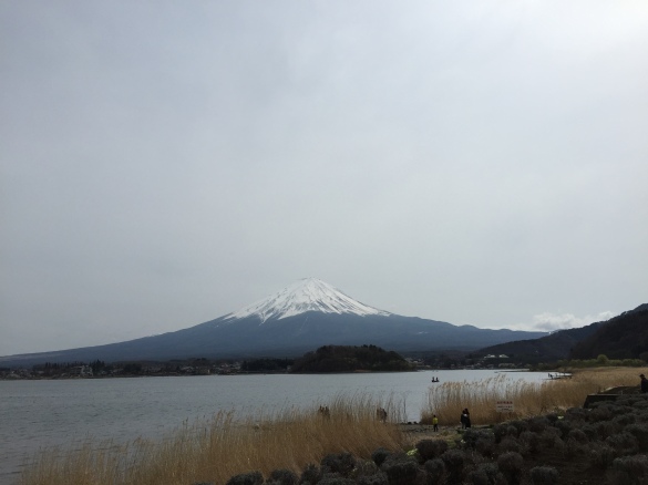Fujiyama dan Danau Kawaguchiko